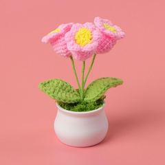 Collection image for: Crochet Pots Regular