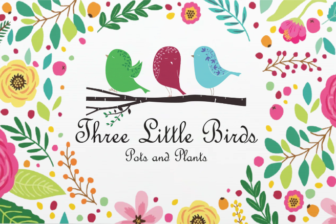 <h1>Instore or Online</h1>