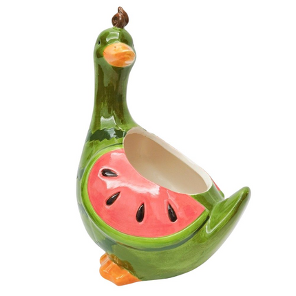 Watermelon Duck