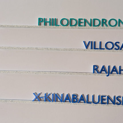 Custom Plant ID Stakes