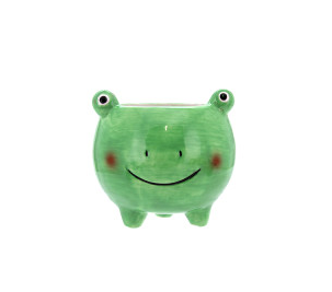 Super Cute Frog Pot