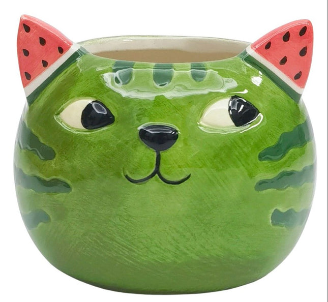 Watermelon Cat